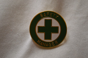 1933SM- SAFETY MANAGER